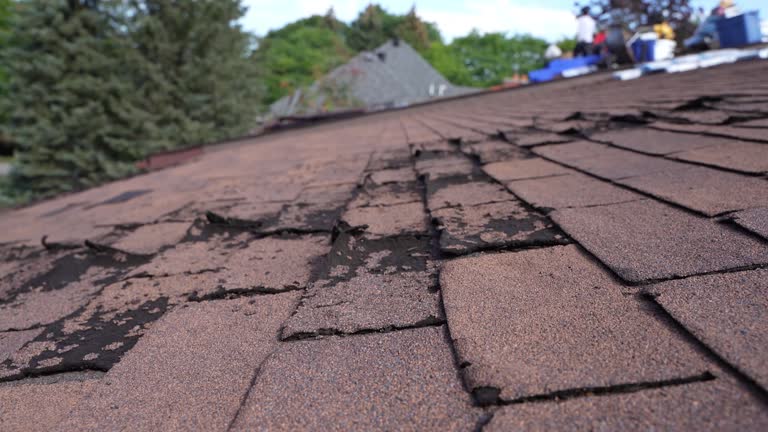 Best Roof Maintenance and Cleaning  in Athens, IL