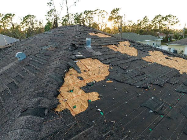 Best Roof Insulation Installation  in Athens, IL