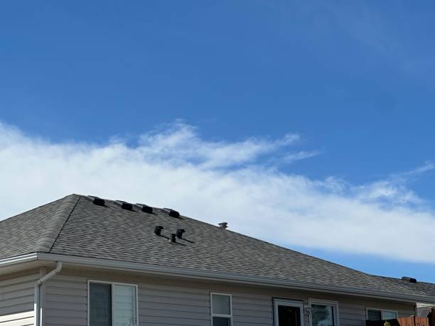 Best Solar Panel Roofing Installation  in Athens, IL